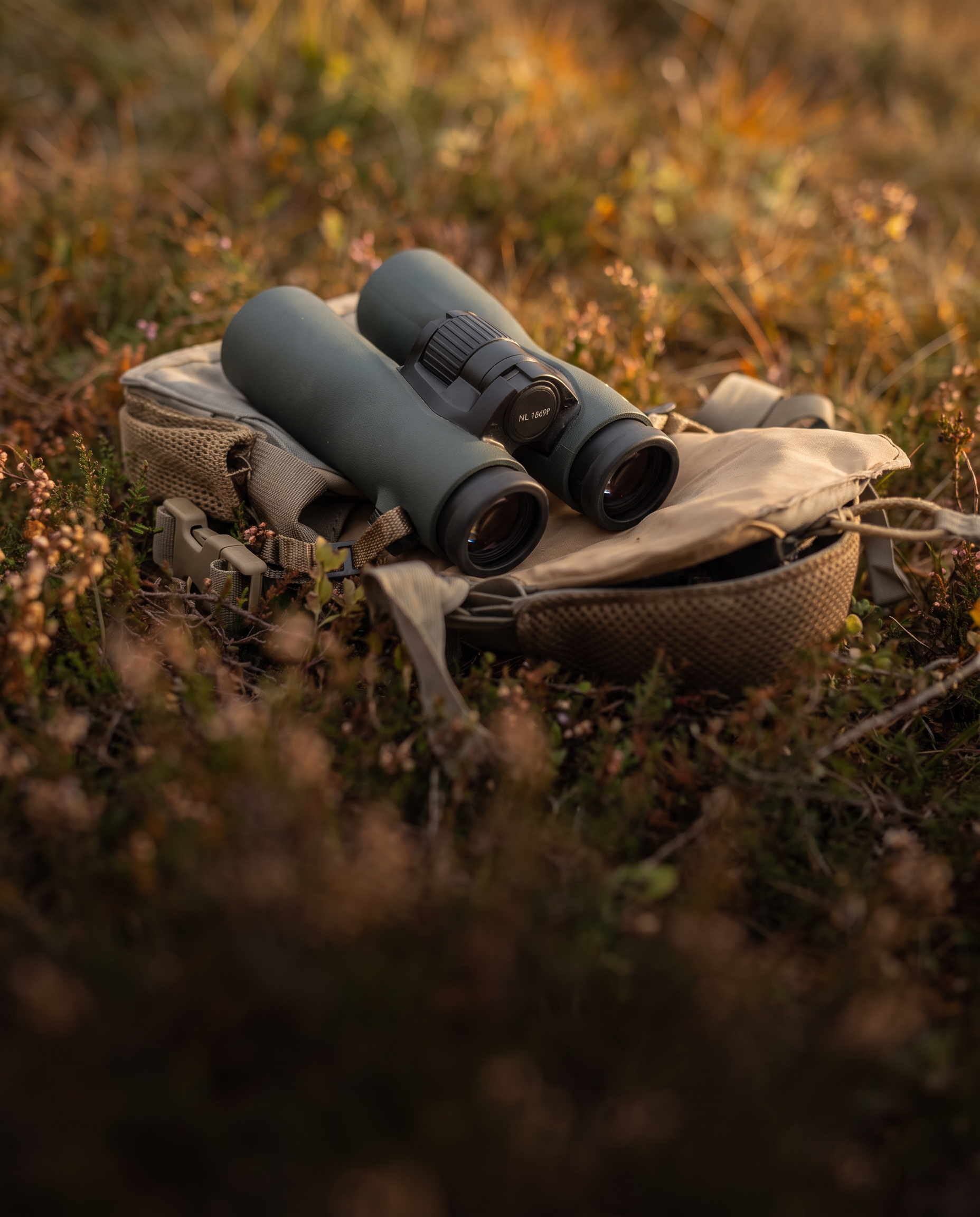Bramwell Views binoculars resting on a canvas pouch in autumn heather Image