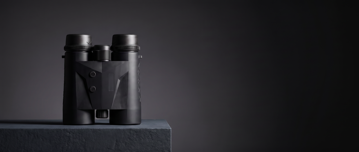 Bramwell Views 10x42 laser rangefinder binoculars in black