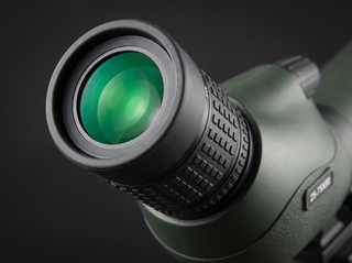 Angled eyepiece and extended sunshade